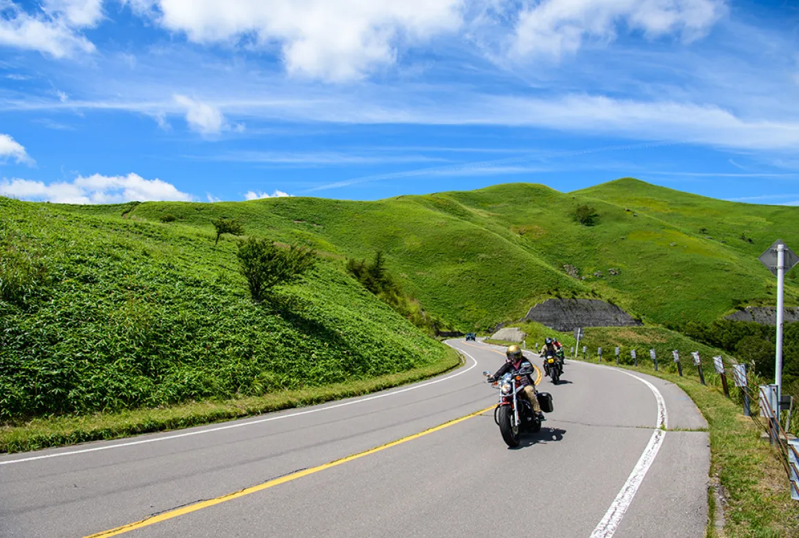 ビーナスライン